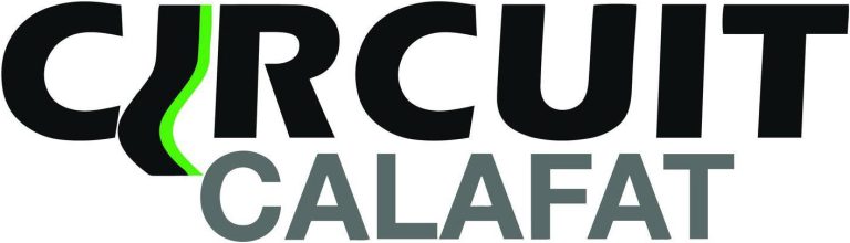 Logo circuit