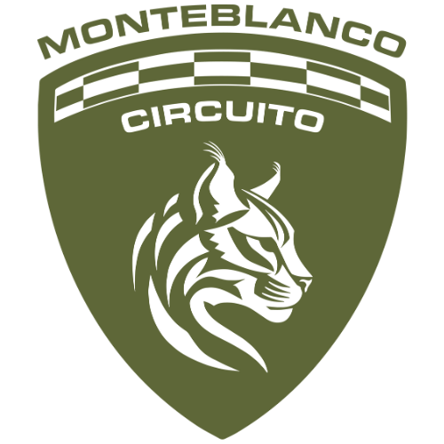 Logo circuit